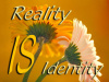 Reality is Identity